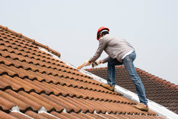Best Skylight Installation and Repair  in Memphis, FL